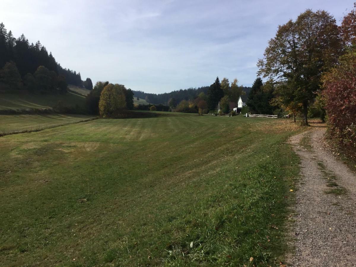 Gemuetliche 1Z Fewo In Schoenwald Mit Balkon, Schwimmbad, Sauna, Fitness 外观 照片
