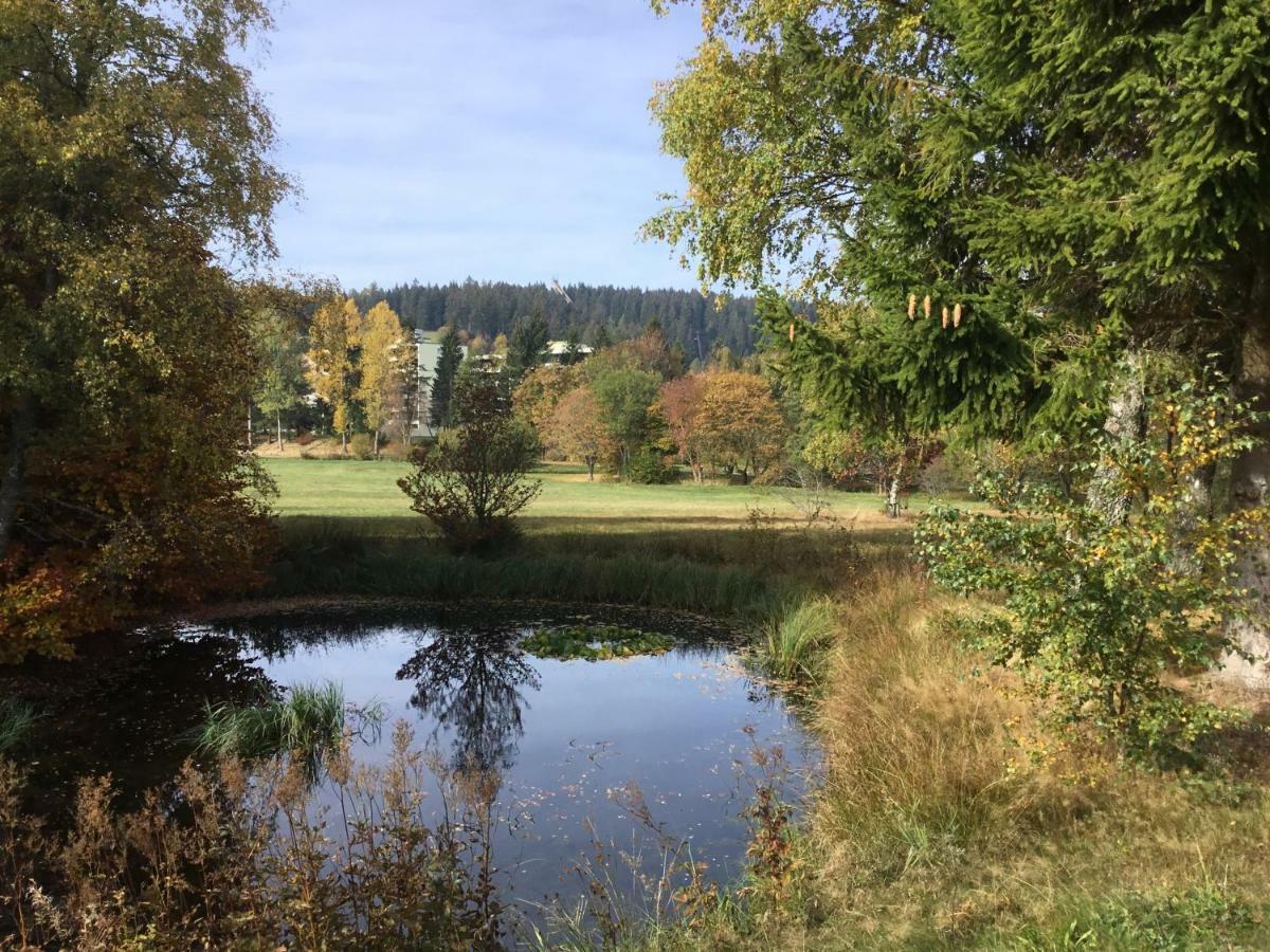 Gemuetliche 1Z Fewo In Schoenwald Mit Balkon, Schwimmbad, Sauna, Fitness 外观 照片